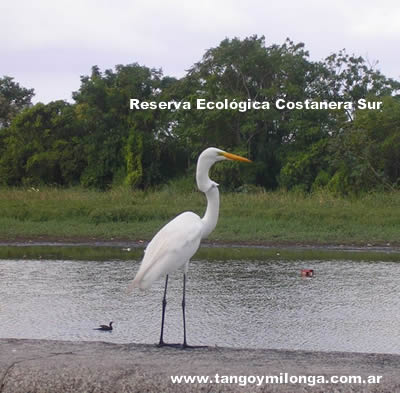 Reserva ecológica Costanera Sur