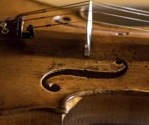 Violin