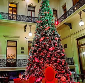Arbol de Navidad