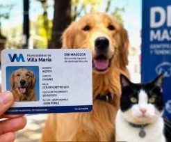 Documentos perros y gatos